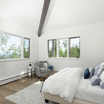 Aspen, Colorado Transitional Residence-Alpine White Oak