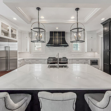 Modern Transitional Kitchen Remodel | Naperville, IL