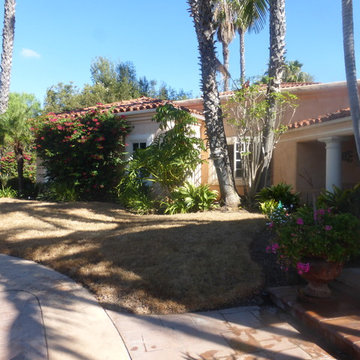 Lawn conversion in Fairbanks Ranch