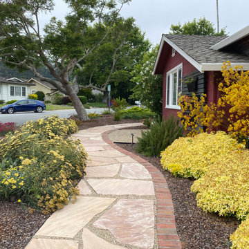 Santa Cruz lawn replacement