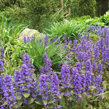English Gardens