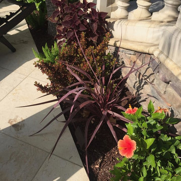 Yorba Linda Tropical