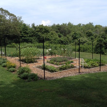 Veggie Garden