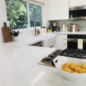 Mini Kitchen Remodel 2020
