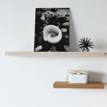 Glowing Beach Shell Black and White Coastal Nature Photography Wall Art Prints
