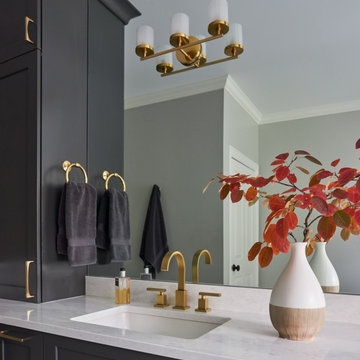 Dazzling Transitional Design Primary Bath