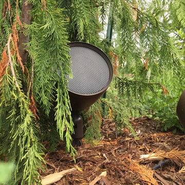 Outdoor Speakers