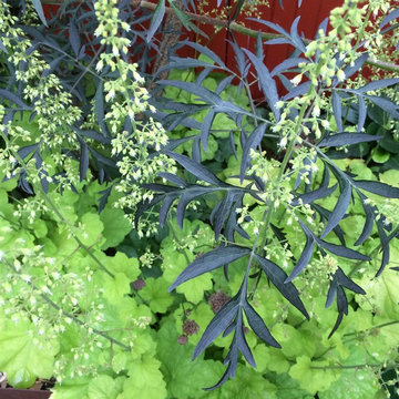 Plantings