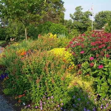Deer Resistant Garden