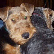 Foto von Lisa Bedard
