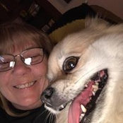 Terry Best's photo