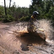 Laura Walter's photo
