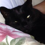 Heidi Bremner's photo