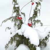 Nina Pankova's photo