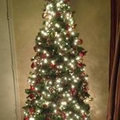 Cathy Warfield's photo