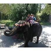 Nina Walker's photo