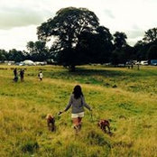 Stoopside Vizslas's photo