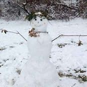 Bridget Unger's photo