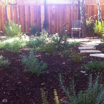 Private garden from Lawn Reduction