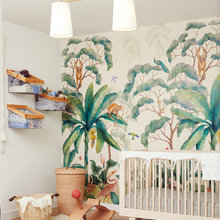 Baby’s Room