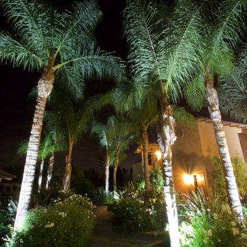 Sprawling Avacado and Palm Tree farm in Somis, California