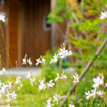 100坪の土地で植物と共に。多種多様な草木が茂る庭のある暮らし