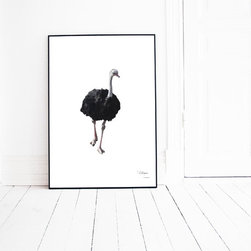 Prints - Prints And Posters