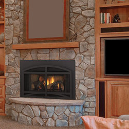 Fireplace inserts Gas Wood  Efficient Heating - Products