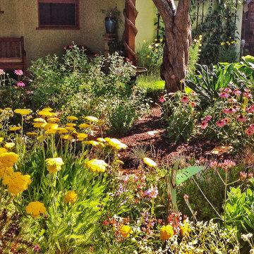 Low Water Cottage Garden