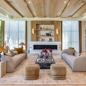 Contemporary Living Room