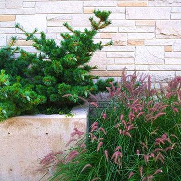 Crisp, clean lines and subtle color define a European-like courtyard