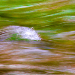 Slither - Photographs