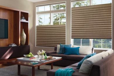 Example of a transitional living room design in Other