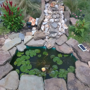 Pond Rebuild