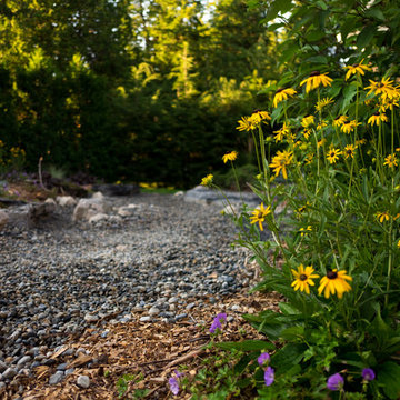 Adirondack Arroyo (or An Aesthetic and Functional Solution to a Drainage Issue)