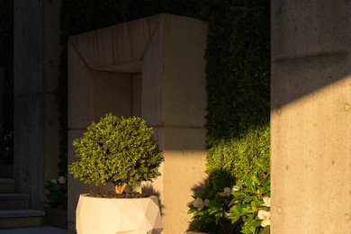 Inspiration for a zen courtyard concrete patio container garden remodel in Montreal