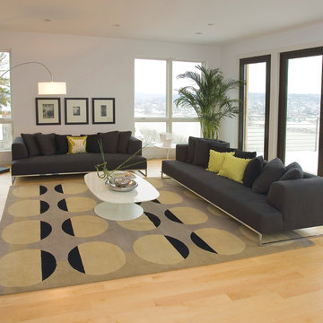 Million Dollar Modern Condo