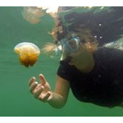 Andi Dyer's photo