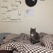 영남 장s foto