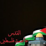Niran Saed's photo