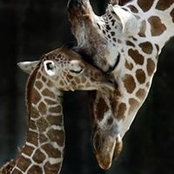 Terry Holl's photo