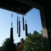 Gail DAmelio's photo