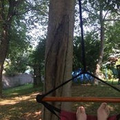 Andreas Imnitzer's photo
