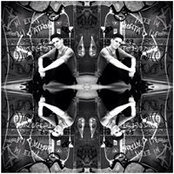 Lee Korn's photo