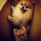Rania Tsai's photo