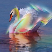 Foto de Abby Dugger