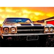 Chris Wenman's photo