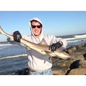 Seth Tedford's photo