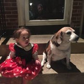 Vincent Farry's photo
