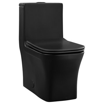 Concorde One Piece Square Toilet Dual Flush, Black, Black Hardware 1.1/1.6 gpf